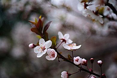 Steam每日特惠：《阿玛拉王国：惩罚 重制版》4折